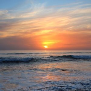 Meet your Posher, Hailey